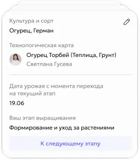 Безопастность и законность