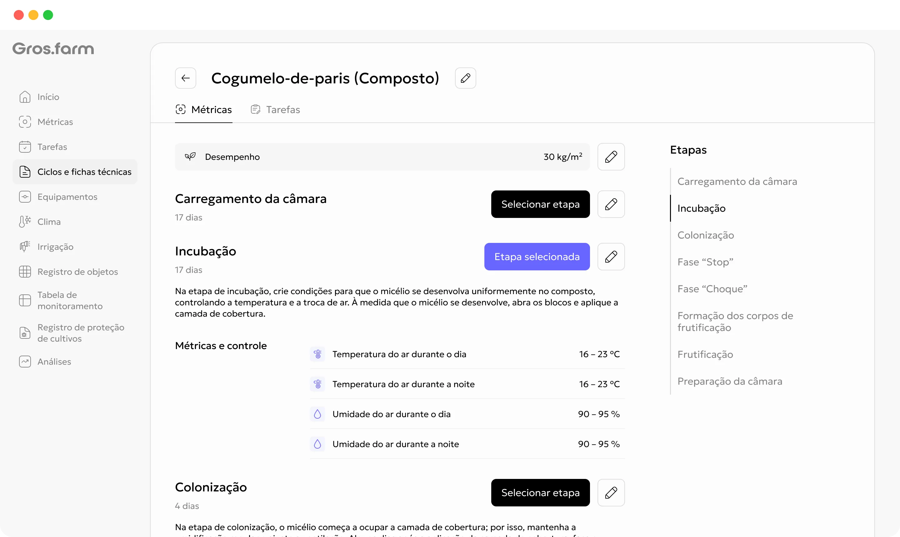 Plano de cultivo de champignons no Gros.farm