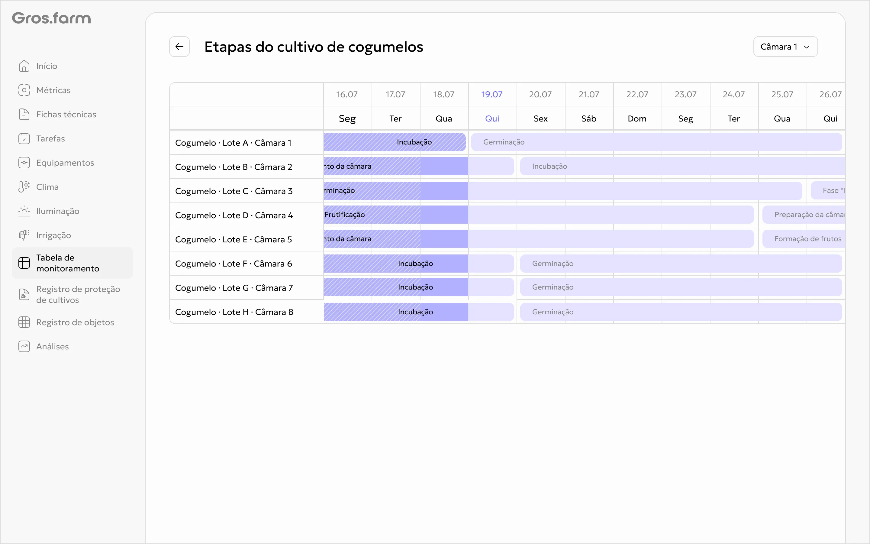 Etapas de vários ciclos de salas de cultivo visualizadas no Gros.farm
