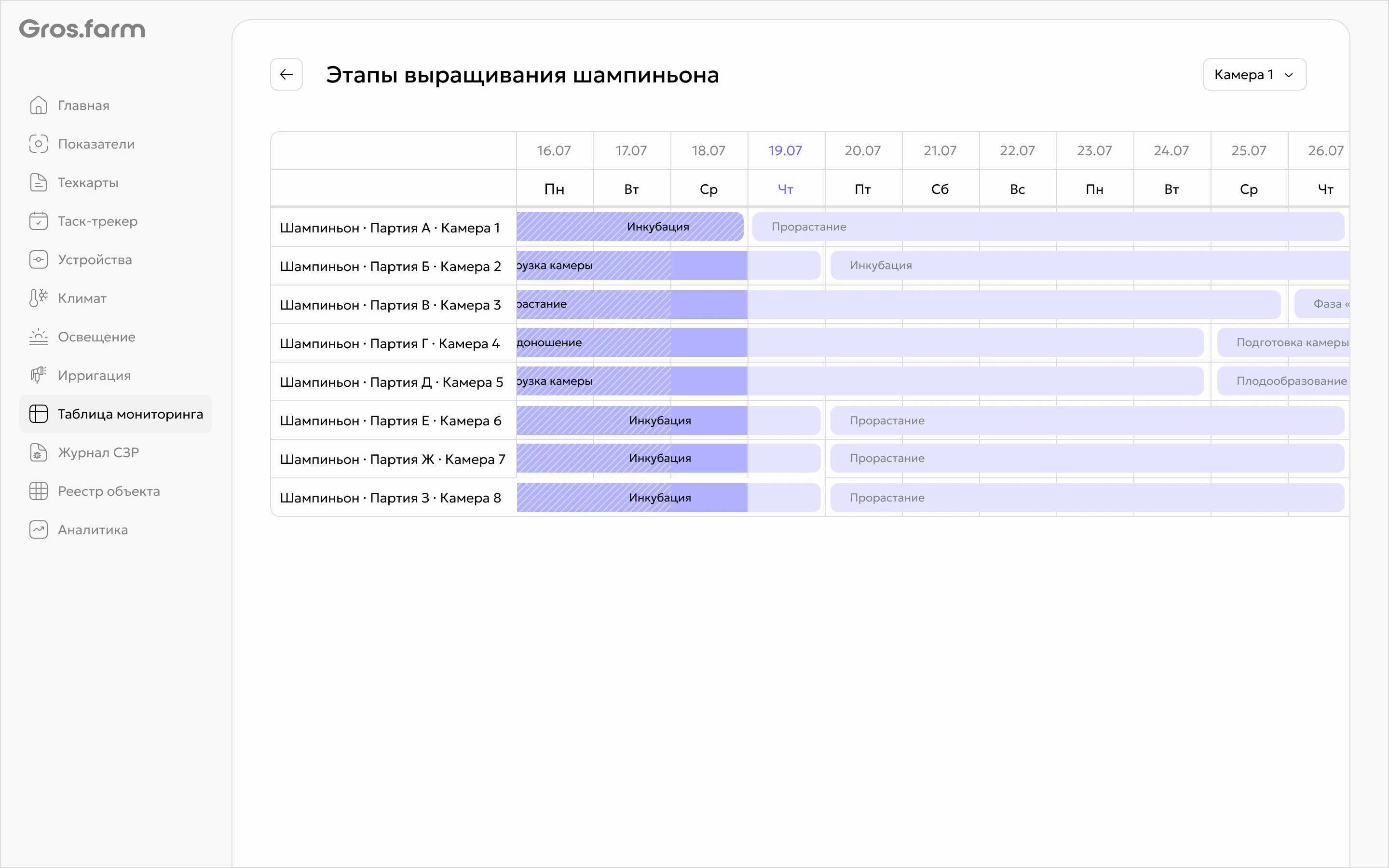 Визуализация стадий нескольких оборотов камер выращивания в Gros.farm