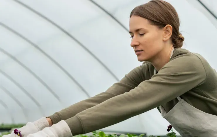 Crop specialist inspecting plants in a commercial greenhouse