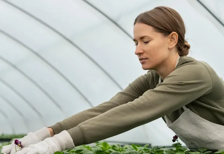 Crop specialist inspecting plants in a commercial greenhouse