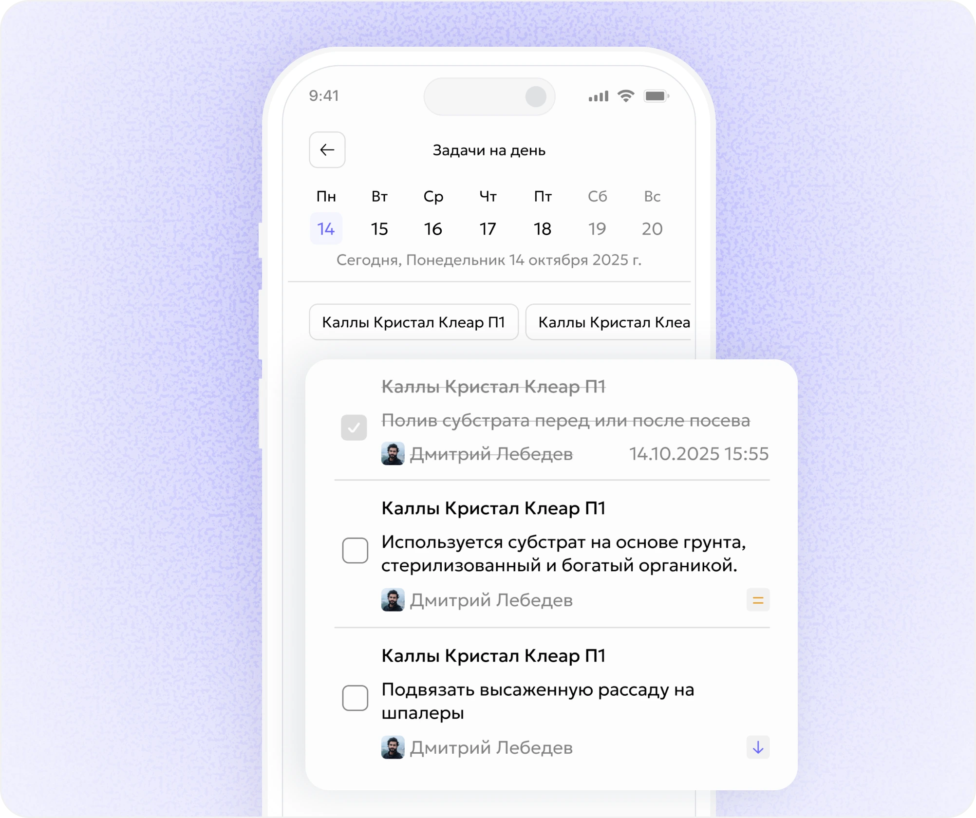 Personal daily work plan for a farmer without employees