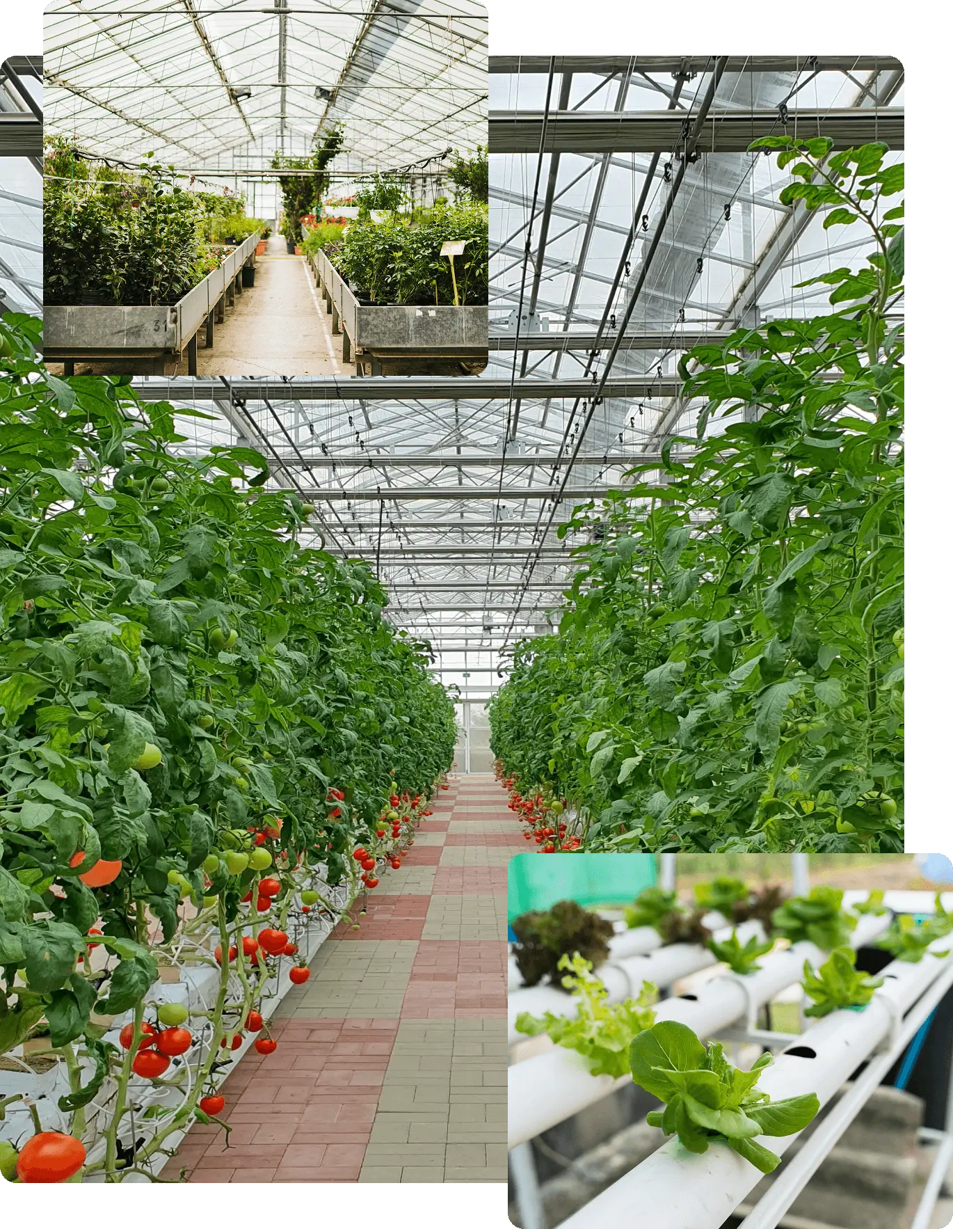 Подходит для различных форматов и масштабов хозяйств
