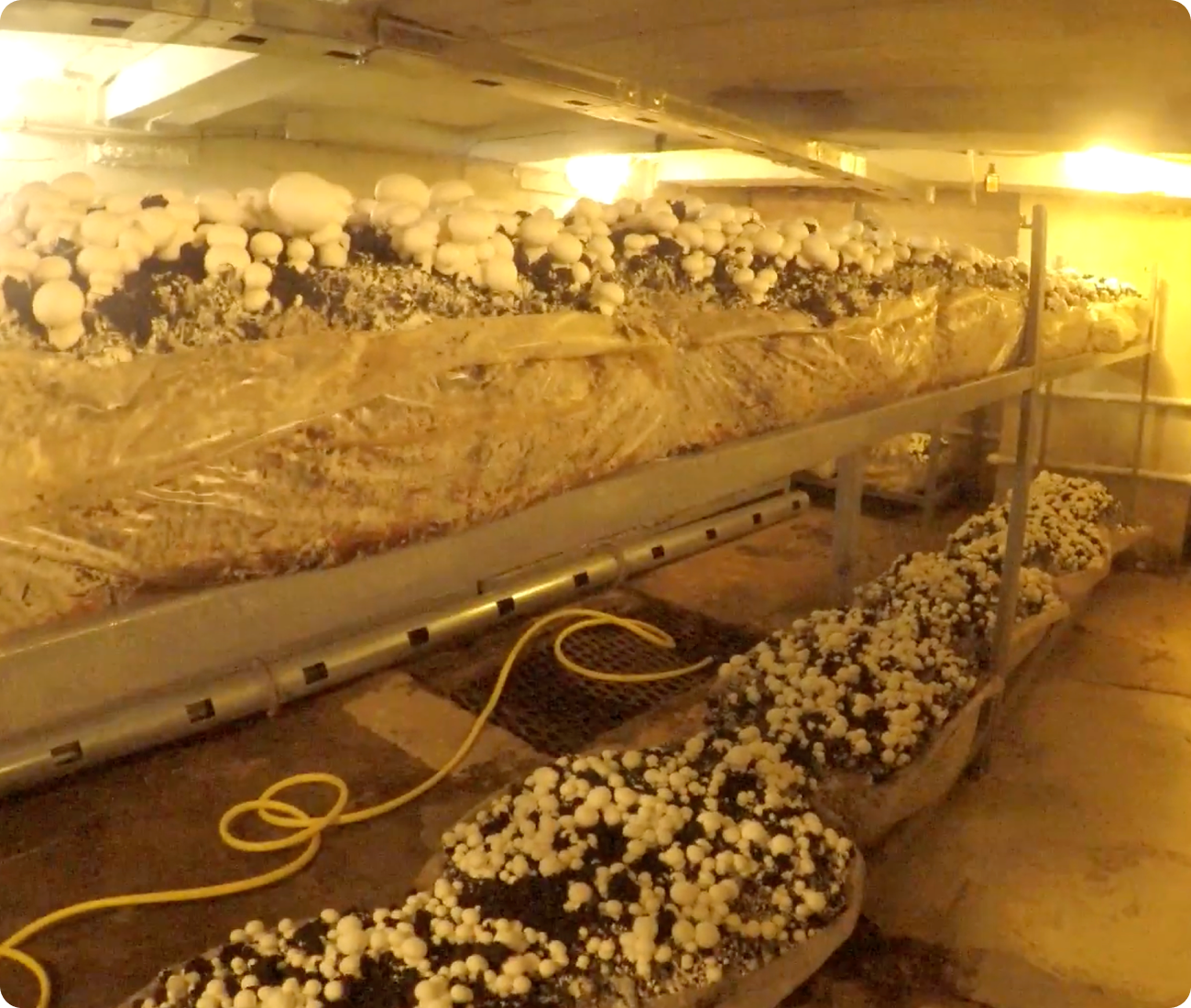 Можно начать с малого